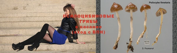 каннабис Балабаново